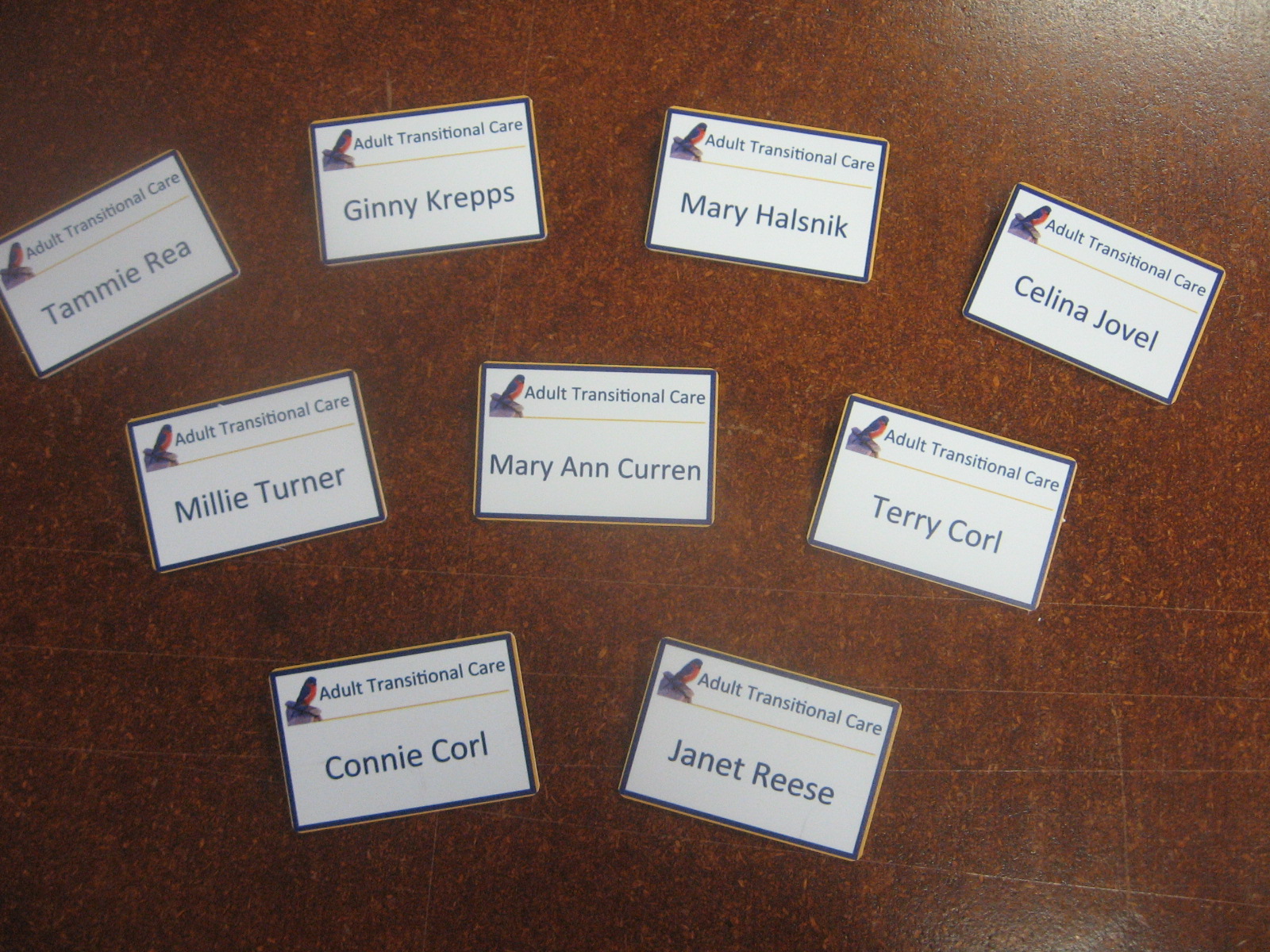 Adult Trans. Name Tags